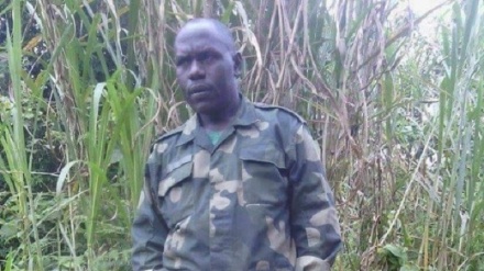 Jeshi la Congo lamuua kiongozi wa tawi la waasi wa FDLR kutoka Rwanda 