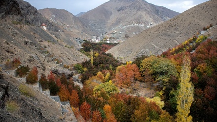 Keindahan Alam di Desa Randan dan Talun pada Musim Gugur