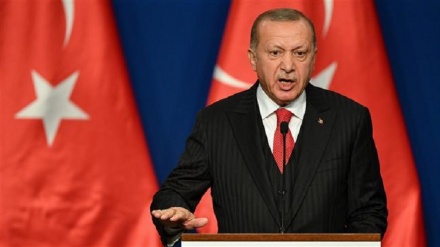 Erdogan announces 4-way summit on Syria’s Idlib