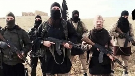 Makumi ya askari wa Ufaransa wajiunga na makundi ya kigaidi Iraq na Syria