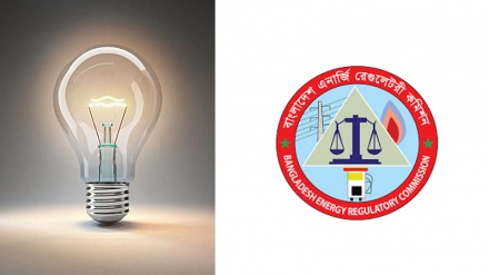 বাংলাদেশে আবারো বিদ্যুতের মূল্য বৃদ্ধির প্রস্তাব: গণশুনানি ডেকেছে বার্ক
