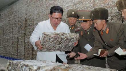 Lideri i Kores Veriore viziton një qendër të produkteve të peshkut