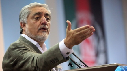 阿卜杜拉·阿卜杜拉（Abdullah Abdullah）支持者抗议选举舞弊