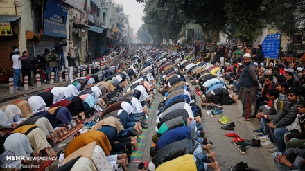 14 persona të vrarë gjatë protestave në Indi