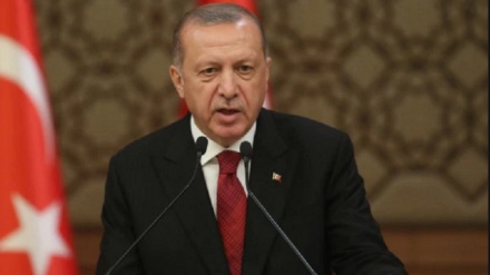 トルコ大統領、「西側とアラブ諸国の沈黙がイスラエル侵略行為を増長」