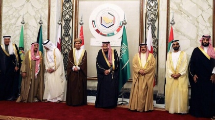 واکنش عجیب شورای همکاری خلیج فارس به مواضع ایران علیه امارات 