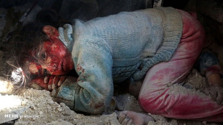 Fotografitë e zgjedhura nga reportazhet më të mira në 2019