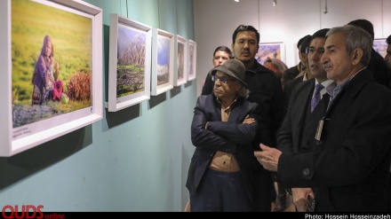 نمایشگاه عکاسان برتر افغانستان در مشهد با استقبال خوبی مواجه شده است