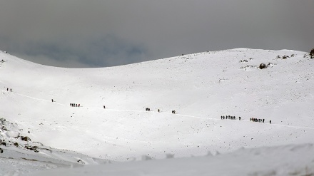 Takht-e Nader, Tempat Istirahat Pendaki Gunung Alvand