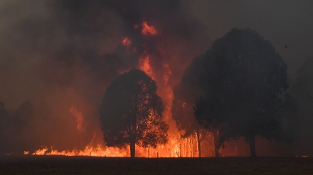 How ancient knowledge can help Australians survive future bushfires