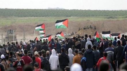 Cinco palestinos quedan heridos en Gran Marcha del Retorno en Gaza+Video