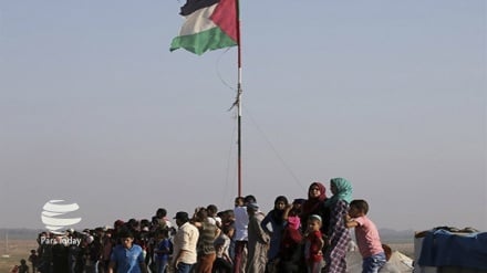 Egipto insiste en la necesidad de formar el Estado de Palestina 