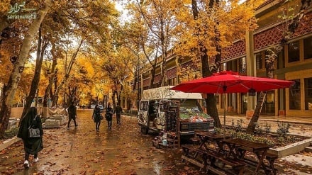 ایران در قاب تصویر: زیبایی های پاییز در چهار باغ اصفهان