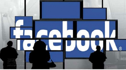 FB在巴西被罚款160万美元