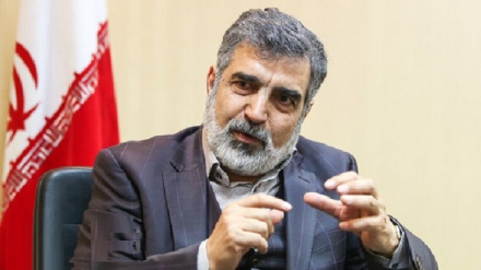 イラン原子力庁、「我々はIAEAの非合法な質問には答えない」