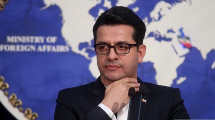 穆萨维：法国外交部有关伊朗籍人的声明属于干涉