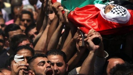 Geçen ay 44 Filistin'li şehit düşerken 500'ü de yaralandı