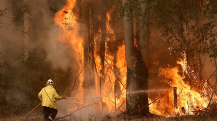 Australia brucia: in migliaia via dallo stato di Victoria