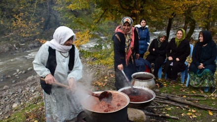 Ostoroədə seri rıbi festıval