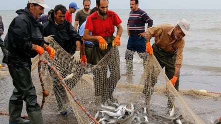 Kaspi dıyoədə astəynə moyon qətey