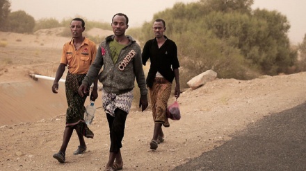 Saudi coalition is creating a living nightmare for African migrants in Yemen