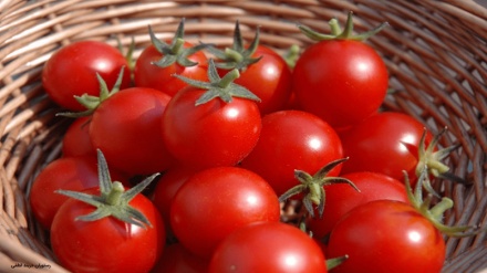 ۷ اثر تکان دهنده بعد از خوردن گوجه فرنگی