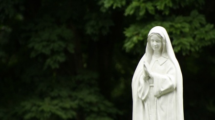 La taberna de Yahia: La crianza mariana