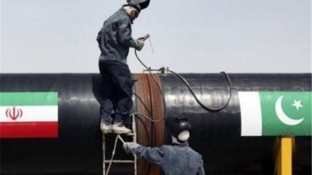 巴基斯坦专家：进口伊朗石油有益于巴基斯坦发现