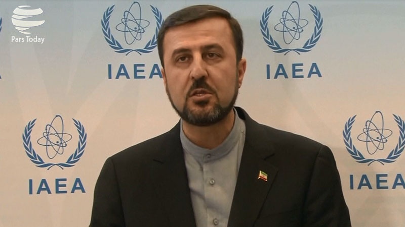 غریب آبادی : ایران شفاف‌ترین برنامه صلح آمیز هسته‌ای را در میان اعضای آژانس دارد