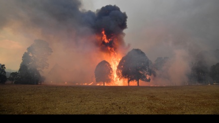 Australia: gli incendi hanno prodotto tanta Co2 quanto quella di 116 nazioni