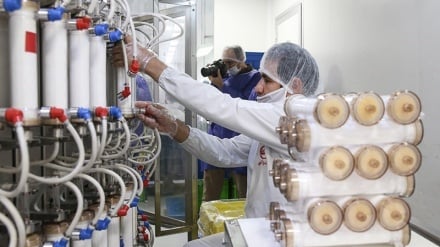 Peresmian Pabrik Produksi Filter Hemodialisis