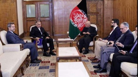 Eýran, Owganystanyň ýaraşyk akymyny goldaýar