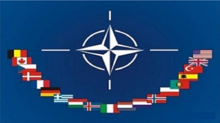 所有北约(NATO)领导人撤退以反对特朗普的勒索