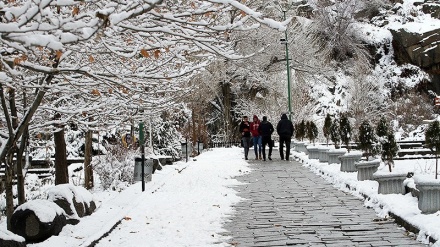 Keindahan Alam di Air Terjun Ganjnameh (1)