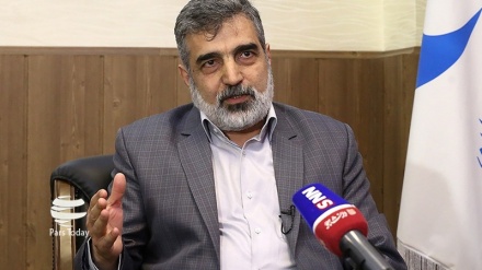 卡玛尔万迪：伊朗和俄罗斯正在进行稳定同位素设计的谈判