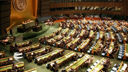 BMT Güvenlik Konseyi'nin Avrupalı Üyelerinden Bercam'a Destek 