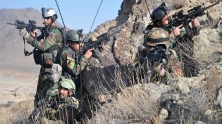 کشته شدن دهها عضو طالبان در ولایات زابل و ارزگان