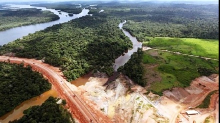 彻底摧毁巴西的亚马逊森林