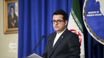 穆萨维：法国干涉伊朗的内政是无法忍受的