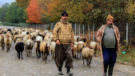 Hari-hari Akhir Musim Gugur di Iran (2)