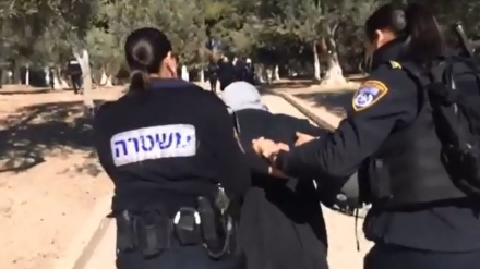 Polisi Zionis Tangkap Empat Perempuan Palestina 