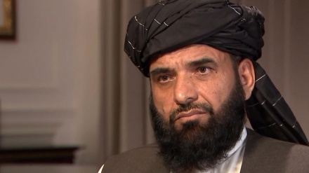 Taliban: Birilerinin parası için savaşmıyoruz