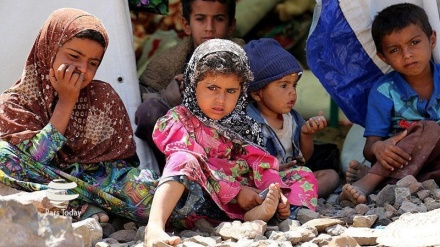 启动推特运动捍卫也门儿童