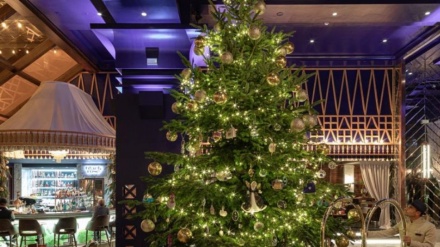 El árbol de Navidad más caro del mundo está en Málaga(Video+Fotos)