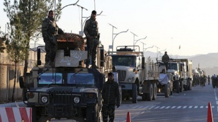 آغاز عملیات نیروهای امنیتی در شاهراه هرات – غور