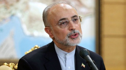イラン原子力庁長官、「ＩＡＥＡとの協力は従来どおり継続」