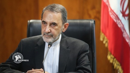 维拉亚提：伊朗始终与黎巴嫩政府和人民同在