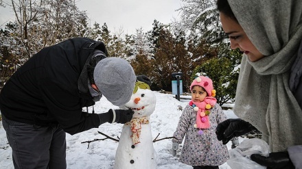 Bermain Salju di Taman Mellat Tehran (1)