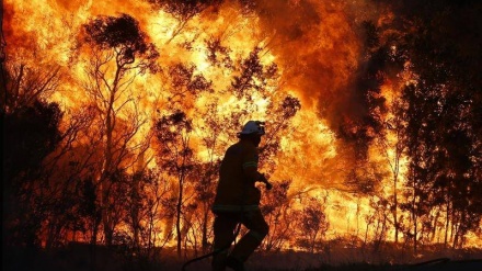 Incendi Australia, le fiamme non si fermano