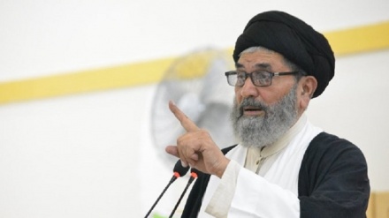 巴基斯坦政治活动家：美国对伊朗的军事力量感到担忧